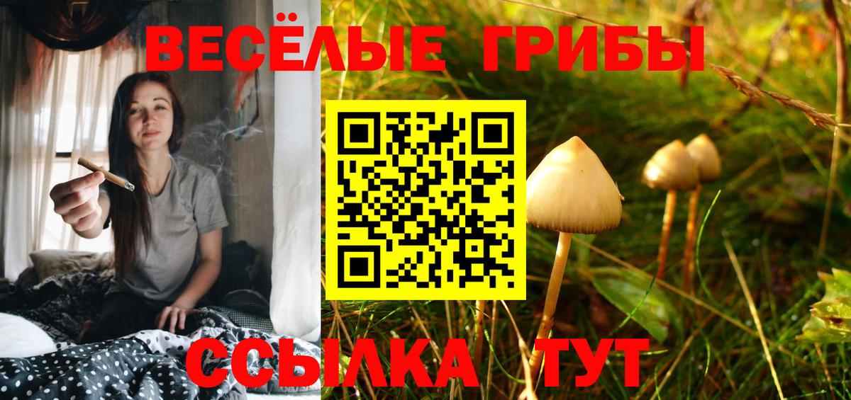 Галлюциногенные грибы GOLDEN TEACHER Балахна