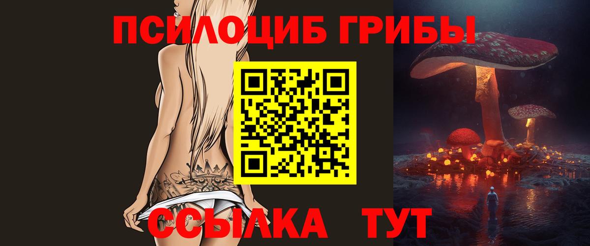 Псилоцибиновые грибы Psilocybine cubensis  Вход с VPN  Псилоцибиновые грибы ЛСД  Балахна 