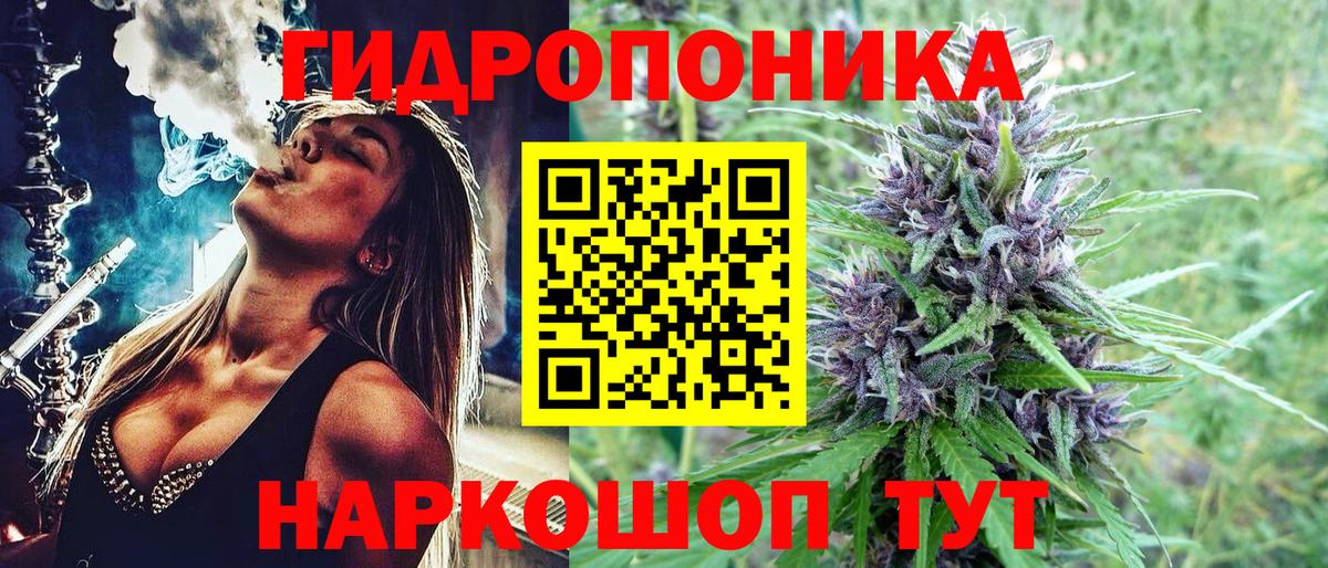 Балахна  Бошки марихуана SATIVA & INDICA  Шишки марихуана White Widow  Вход с VPN  Канабис план  МАРИХУАНА конопля 